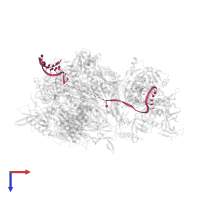 RNA (45-MER) in PDB entry 4ifd, assembly 1, top view.