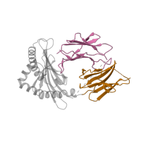 The deposited structure of PDB entry 4iiq contains 2 copies of CATH domain 2.60.40.10 (Immunoglobulin-like) in Beta-2-microglobulin. Showing 2 copies in chain C.