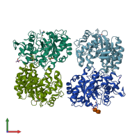 PDB entry 4iis coloured by chain, front view.