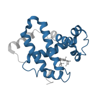 The deposited structure of PDB entry 4ij2 contains 2 copies of Pfam domain PF00042 (Globin) in Hemoglobin subunit beta. Showing 1 copy in chain B.