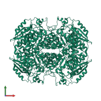 Glucarate dehydratase-related protein in PDB entry 4il0, assembly 1, front view.