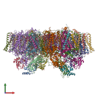 PDB entry 4il6 coloured by chain, front view.