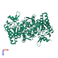 Nitric oxide synthase 1 in PDB entry 4imt, assembly 1, top view.