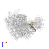 Large ribosomal subunit protein uL6 in PDB entry 4ioc, assembly 1, top view.