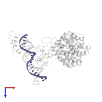 DNA (5'-D(*CP*CP*TP*GP*AP*CP*CP*TP*TP*TP*GP*AP*CP*CP*TP*AP*GP*TP*TP*C)-3') in PDB entry 4iqr, assembly 1, top view.