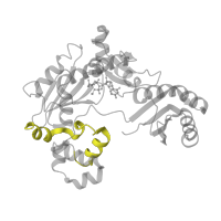 The deposited structure of PDB entry 4irc contains 2 copies of Pfam domain PF11798 (IMS family HHH motif) in DNA polymerase IV. Showing 1 copy in chain F [auth A].