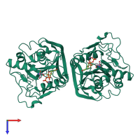 Homo dimeric assembly 5 of PDB entry 4irq coloured by chemically distinct molecules, top view.