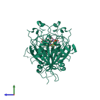 Homo dimeric assembly 6 of PDB entry 4irq coloured by chemically distinct molecules, side view.