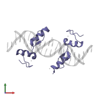 Zinc finger protein 217 in PDB entry 4is1, assembly 1, front view.