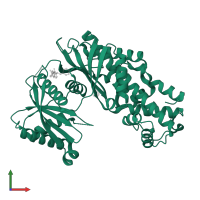 Hexokinase-4 in PDB entry 4ise, assembly 1, front view.