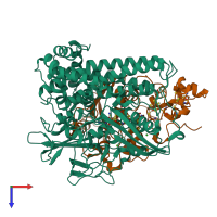 PDB entry 4iud coloured by chain, top view.