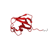 The deposited structure of PDB entry 4ium contains 1 copy of CATH domain 3.10.20.90 (Ubiquitin-like (UB roll)) in Ubiquitin. Showing 1 copy in chain B.