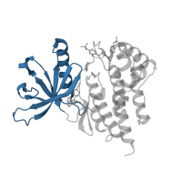 The deposited structure of PDB entry 4iva contains 1 copy of CATH domain 3.30.200.20 (Phosphorylase Kinase; domain 1) in Tyrosine-protein kinase JAK2. Showing 1 copy in chain A.