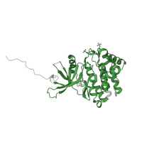 The deposited structure of PDB entry 4ivc contains 2 copies of Pfam domain PF07714 (Protein tyrosine and serine/threonine kinase) in Tyrosine-protein kinase JAK1. Showing 1 copy in chain A.
