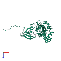 Tyrosine-protein kinase JAK1 in PDB entry 4ivc, assembly 1, top view.