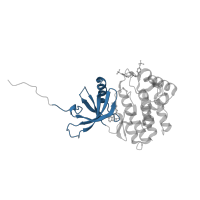 The deposited structure of PDB entry 4ivd contains 2 copies of CATH domain 3.30.200.20 (Phosphorylase Kinase; domain 1) in Tyrosine-protein kinase JAK1. Showing 1 copy in chain A.