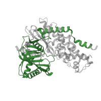 The deposited structure of PDB entry 4iwv contains 1 copy of Pfam domain PF00349 (Hexokinase) in Hexokinase-4. Showing 1 copy in chain A.