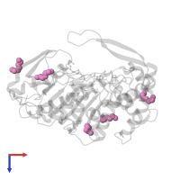 DI(HYDROXYETHYL)ETHER in PDB entry 4j0i, assembly 2, top view.