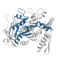The deposited structure of PDB entry 4j0j contains 2 copies of Pfam domain PF20434 (BD-FAE) in Tannase. Showing 1 copy in chain A.