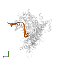 DNA (5'-D(*TP*CP*GP*AP*GP*TP*AP*AP*GP*CP*AP*GP*TP*CP*CP*GP*CP*G)-3') in PDB entry 4j2a, assembly 1, side view.