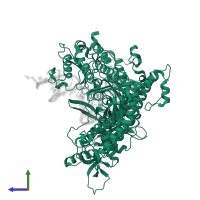 DNA-directed DNA polymerase in PDB entry 4j2b, assembly 1, side view.