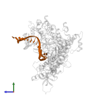 DNA (5'-D(*TP*CP*GP*TP*AP*TP*AP*AP*GP*CP*AP*GP*TP*CP*CP*GP*CP*G)-3') in PDB entry 4j2b, assembly 1, side view.