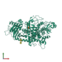 PDB entry 4j5t coloured by chain, front view.