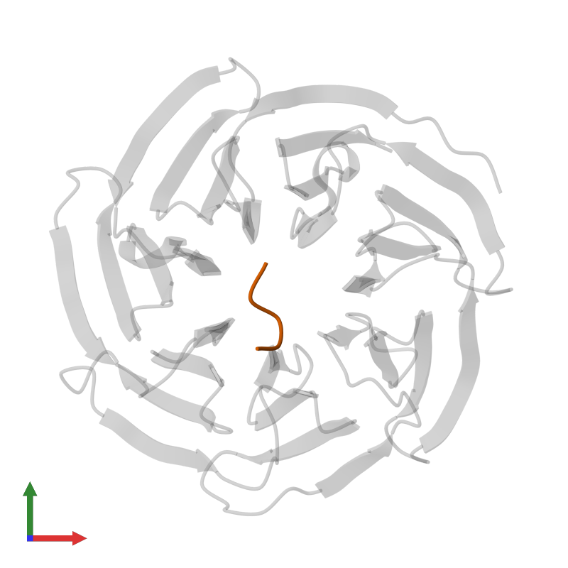 <div class='caption-body'>PDB entry 4j84 contains 1 copy of SCYL1 in assembly 1. This protein is highlighted and viewed from the front.</div>
