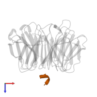 Dolichyl-diphosphooligosaccharide--protein glycosyltransferase subunit WBP1 in PDB entry 4j86, assembly 1, top view.