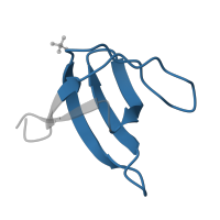 The deposited structure of PDB entry 4j9d contains 3 copies of Pfam domain PF00018 (SH3 domain) in Tyrosine-protein kinase ABL1. Showing 1 copy in chain E.