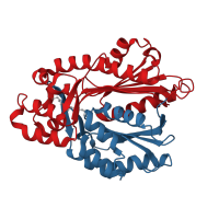 The deposited structure of PDB entry 4jao contains 8 copies of CATH domain 3.40.47.10 (Peroxisomal Thiolase; Chain A, domain 1) in Methyl-branched alkylpyrone synthesis polyketide synthase-like Pks11. Showing 2 copies in chain D [auth A].