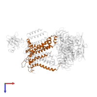 Maltose/maltodextrin transport system permease protein MalG in PDB entry 4jbw, assembly 1, top view.