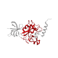 The deposited structure of PDB entry 4jds contains 4 copies of CATH domain 2.170.270.10 (Beta-clip-like) in Histone-lysine N-methyltransferase SETD7. Showing 1 copy in chain A.