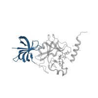 The deposited structure of PDB entry 4jds contains 4 copies of CATH domain 2.20.110.10 (Histone H3 K4-specific methyltransferase SET7/9 N-terminal domain) in Histone-lysine N-methyltransferase SETD7. Showing 1 copy in chain A.