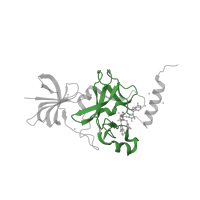The deposited structure of PDB entry 4jds contains 4 copies of Pfam domain PF00856 (SET domain) in Histone-lysine N-methyltransferase SETD7. Showing 1 copy in chain A.