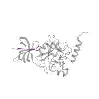 The deposited structure of PDB entry 4jds contains 4 copies of Pfam domain PF02493 (MORN repeat) in Histone-lysine N-methyltransferase SETD7. Showing 1 copy in chain A.