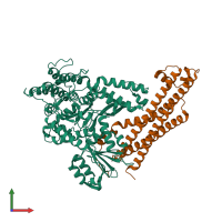 PDB entry 4jeh coloured by chain, front view.