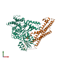 PDB entry 4jeu coloured by chain, front view.