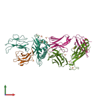 PDB entry 4jfd coloured by chain, front view.
