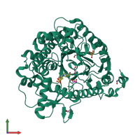 PDB entry 4jho coloured by chain, front view.