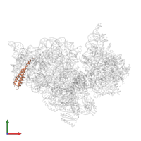 Small ribosomal subunit protein bS20 in PDB entry 4ji2, assembly 1, front view.