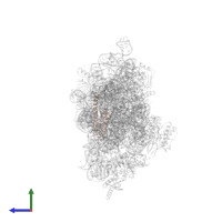 Small ribosomal subunit protein bS20 in PDB entry 4ji2, assembly 1, side view.