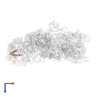 Small ribosomal subunit protein bS20 in PDB entry 4ji2, assembly 1, top view.