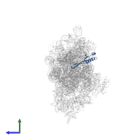 Small ribosomal subunit protein uS10 in PDB entry 4ji3, assembly 1, side view.
