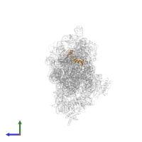 Small ribosomal subunit protein uS14 in PDB entry 4ji3, assembly 1, side view.