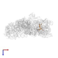 Small ribosomal subunit protein uS14 in PDB entry 4ji3, assembly 1, top view.