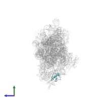 Small ribosomal subunit protein bS18 in PDB entry 4ji3, assembly 1, side view.