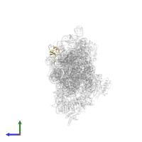 Small ribosomal subunit protein uS19 in PDB entry 4ji3, assembly 1, side view.