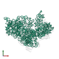 16S ribosomal RNA in PDB entry 4ji3, assembly 1, front view.