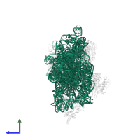 16S ribosomal RNA in PDB entry 4ji3, assembly 1, side view.